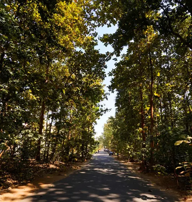 Campus 1